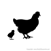 Picture of Chicken 42 (Farm Animal Silhouette Decals)